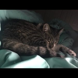 Meet your Posher, Minh